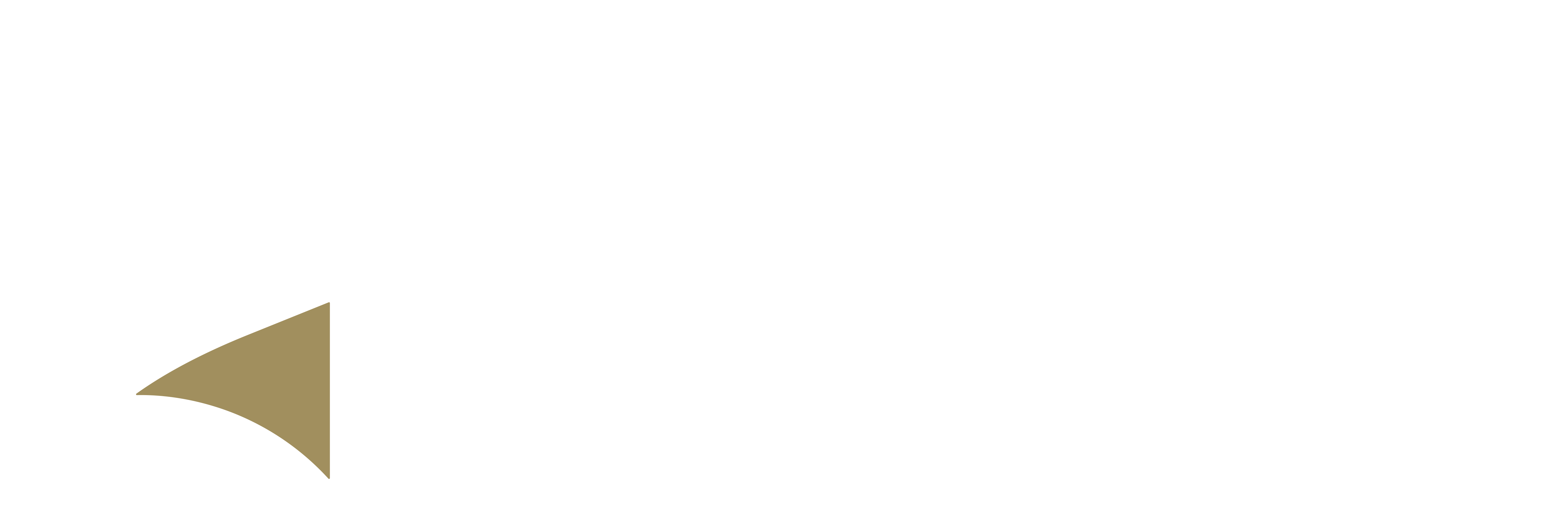 Consulting Vision Logo